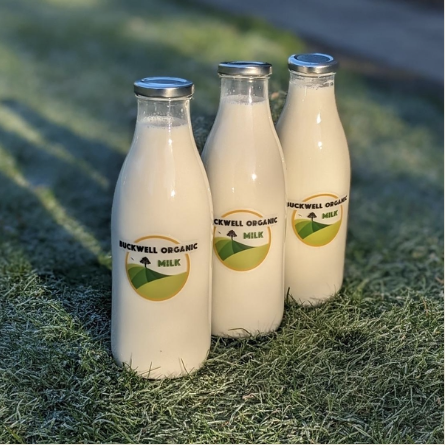 Raw Milk in 3 glass bottles