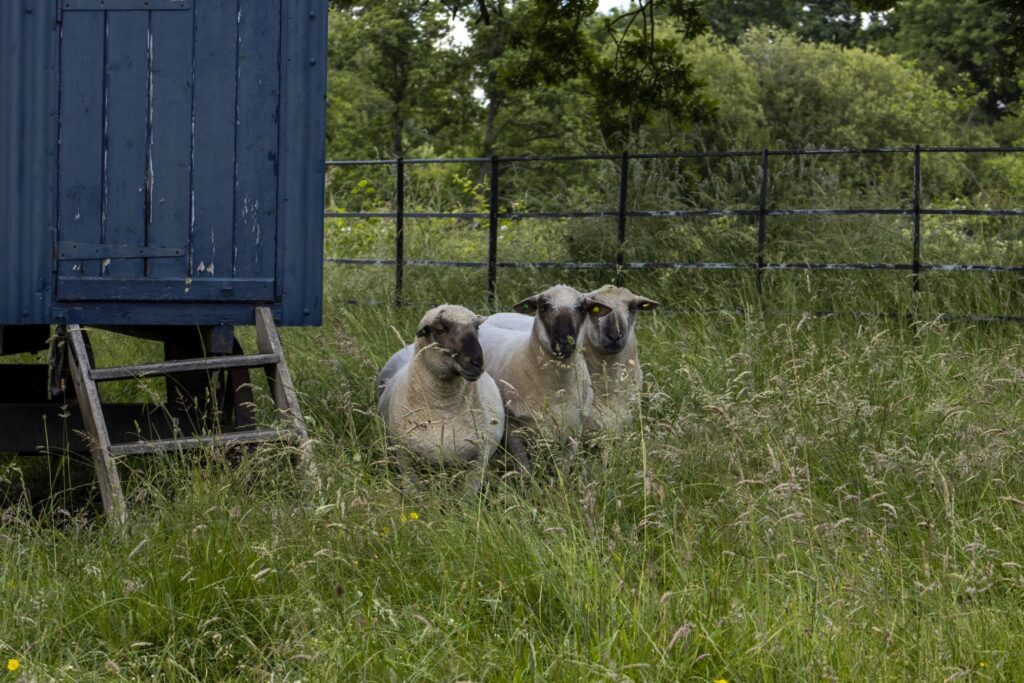 Gutchpool Farm