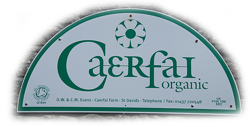 Caerfai Farm