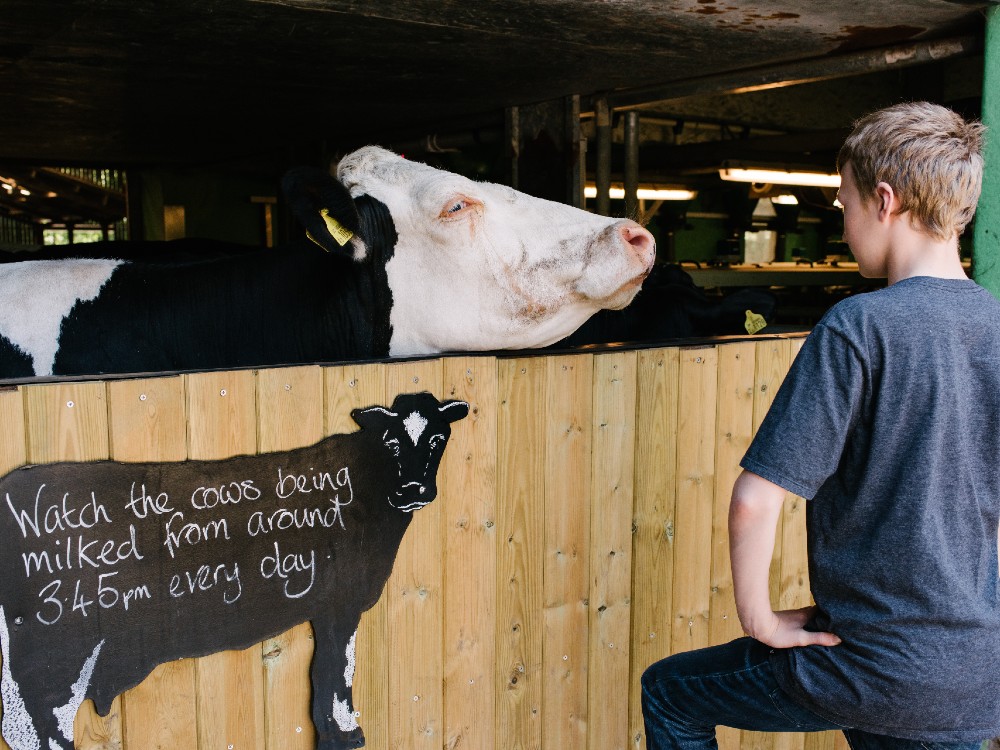 Low Sizergh Barn Farm Shop & Café