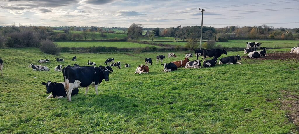 Free Range Yorkshire Raw Milk